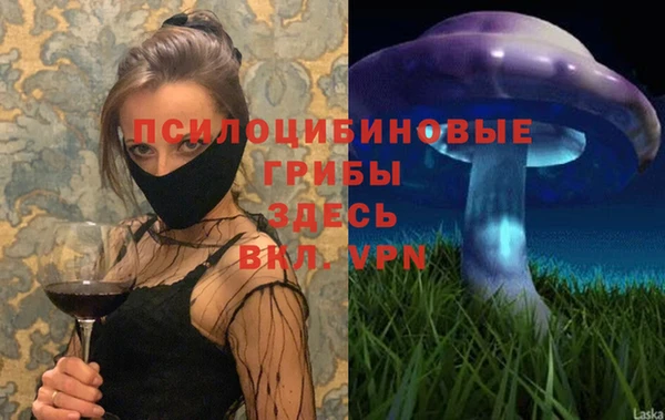 СК Арсеньев